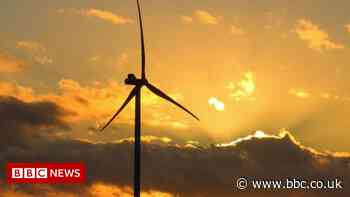 Climate change: Can the UK afford its net zero policies?