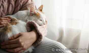 Cats and dogs may protect owners from memory loss in later life, research shows 