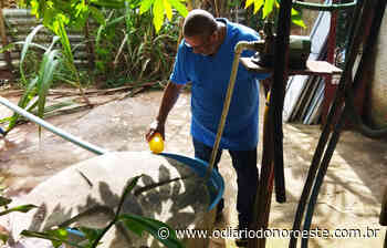 CVAS Itaperuna realiza mapeamento de locais estratégicos e intensifica combate ao mosquito - O Diário do Noroeste