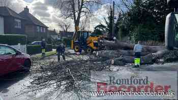 Pictures: Havering trees felled by Storm Eunice and Franklin - Romford Recorder