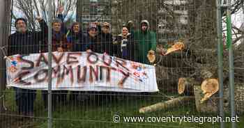 Cov protesters refuse to budge in bid to stop trees being cut down - Coventry Live