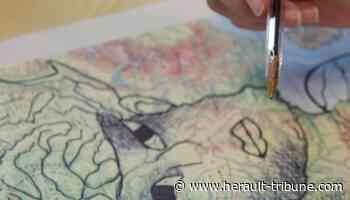 Sète agglopôle méditerranée : l'école Terres Blanches de Frontignan participe au projet « Paysages nourriciers » - Hérault-Tribune