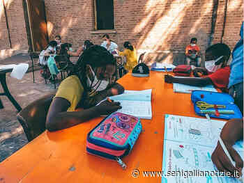 Le Rondini, opportunità per gli studenti delle secondarie di secondo grado - Senigallia Notizie