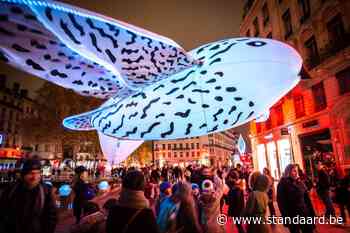 Sneeuwuilen vliegen door Brussel tijdens lichtfestival - De Standaard