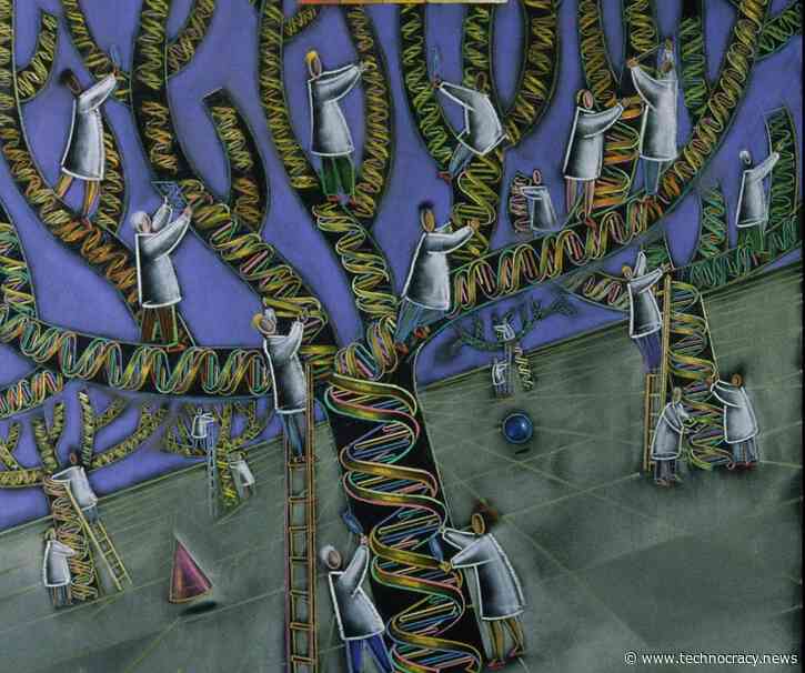 Biodiversity: The Genetic Takeover Of All Living Things