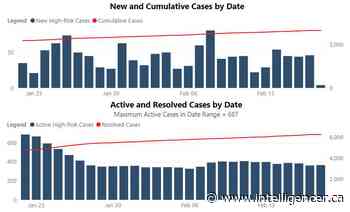 Plateau in local COVID cases likely to continue: Toumishey - Belleville Intelligencer