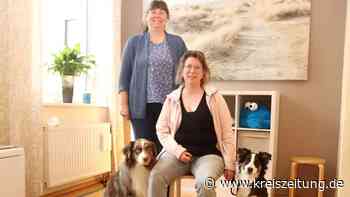 Angehender Therapiebegleithund Balu lernt, den Kindern bei TheraLogo in Sulingen zu helfen - kreiszeitung.de