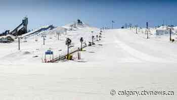 Cold Calgary weather forces WinSport to close ski hill, penguin walk cancelled - CTV News Calgary