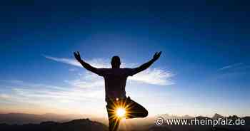 Was das neue Programm der Mannheimer Abendakademie bietet - Mannheim - Rheinpfalz.de