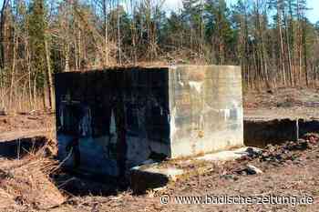 Was wird aus den Breisacher Bunkerresten im Rheinwald? - Breisach - Badische Zeitung