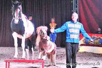 Circus Kaiser gibt nicht auf - Breisach - Badische Zeitung