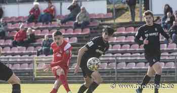 Rote Teufel reisen zum Kellerkind SSV Ulm - Fussball - Rheinpfalz.de