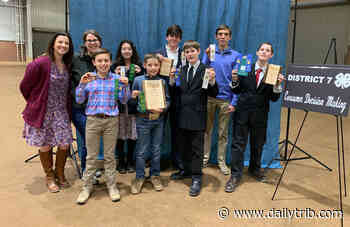 Burnet County 4-H'ers take top awards in Consumer Decision Making - DailyTrib.com