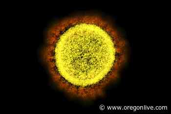 Scientists warily watch new coronavirus mutant known as ‘stealth omicron’ as it spreads - OregonLive