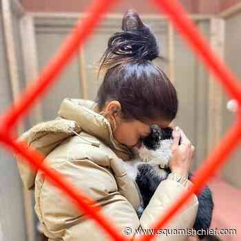 Kabul pet mission reunites Afghan refugee with beloved cats - Squamish Chief