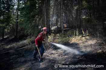 Budget funding for BC Wildfire Service garners mixed reaction from experts - Squamish Chief