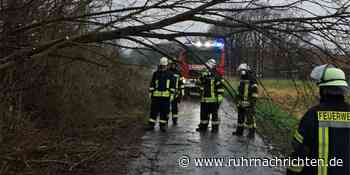 „Habe ich noch nie erlebt“: Feuerwehr Ascheberg zieht eine Sturm-Bilanz - Ruhr Nachrichten
