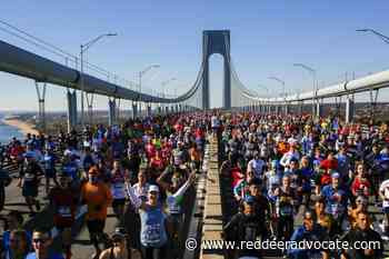 NYC Marathon returning to 50,000 runner field in November - Red Deer Advocate