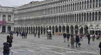 Mostre, caffetteria, auditorium nel cuore di San Marco, le Procuratie svelate - ilgazzettino.it