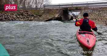 Ist die Steindamm-Welle am Rhein bei Trebur in Gefahr? - Echo Online