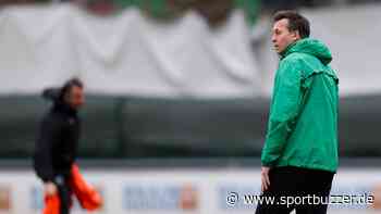 Plan für Kiel: 96-Coach Christoph Dabrowski setzt auf „talentfreie Bereiche“ - Sportbuzzer