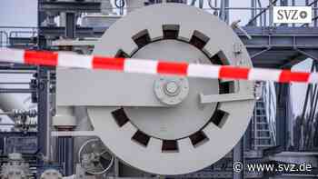 Gas-Embargo: Forscher in Kiel: Diese Sanktionen gegen Russland sind am wirksamsten | svz.de - svz – Schweriner Volkszeitung