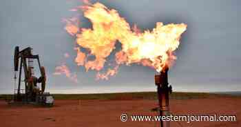 As Oil Hits Over $100 Per Barrel, Biden Halts Oil and Gas Leasing on Federal Land