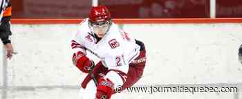 Invasion russe en Ukraine: un hockeyeur québécois dans la tourmente