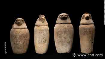 Largest-ever cache of embalming supplies found in Egypt