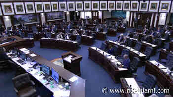 Florida House OKs Bill Limiting Discussions on Race