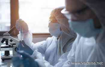 Coronavirus nella provincia di Siena: 312 nuovi casi positivi e 350 persone guarite - Valdelsa.net