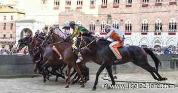Covid: dalla Festa dei Ceri al Palio di Siena, tornano le grandi manifestazioni storiche - Il Sole 24 ORE