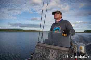A Saskatchewan Métis community wants to save its land. Dealing with government? ‘Like talking to a wall’ - The Narwhal