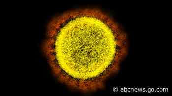 As 'stealth omicron' advances, scientists are learning more