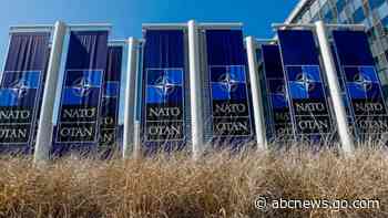 WATCH:  What is NATO?