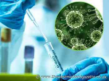 Latest coronavirus statistics for South Lakeland | The Westmorland Gazette - The Westmorland Gazette