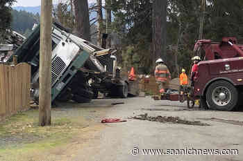 Toppled tree trimming truck sends Vancouver Island worker to hospital - Saanich News