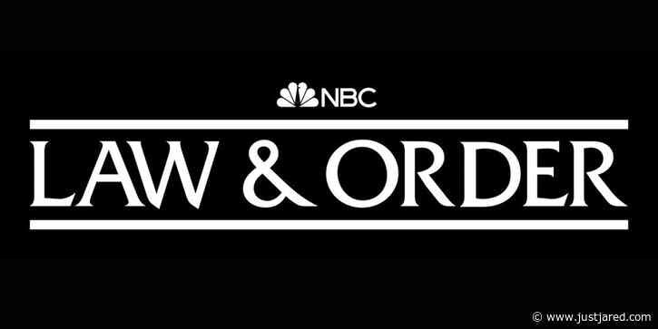 'Law & Order' 2022 Revival Features Four New Stars & Two Returning Fan-Favorite Actors!