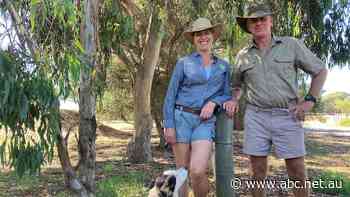 Agritourism booms during pandemic as consumers get back to basics