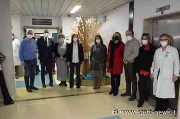 Enna – “L'albero delle idee” presso il reparto di Oncologia – StartNews - StartNews