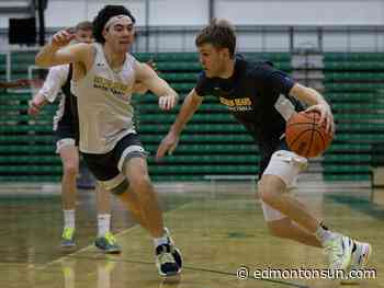 Golden Bears basketball looking to cap perfect regular-season record - Edmonton Sun