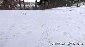 Ribbon of Green river valley use plan concerns Edmonton mountain bikers | CTV News - CTV News Edmonton