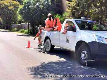 JRA to run at full steam again - Rosebank Killarney Gazette