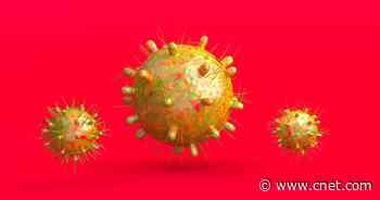 What to Know About Omicron Subvariant BA.2     - CNET