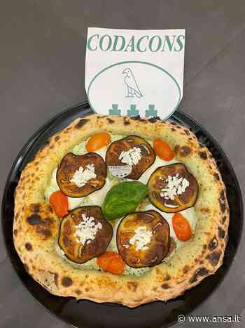 Alimentare: pizzaiolo Catania crea la 'Pizza Codacons' - Ansa