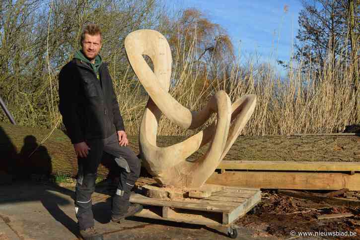 Stijlvol na de storm: Boomkunstenaar Joachim (39) geeft gesneuvelde stammen tweede leven