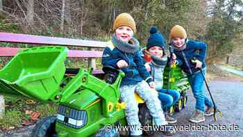 Niklas, Matti und Jona: Drei Brüder kämpfen mit Traktor gegen wilden Müll in Nagold