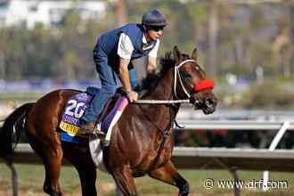 Letruska heavily favored in Royal Delta, her 6-year-old debut - Daily Racing Form