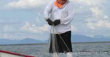 En Huatabampo buscan adquirir pulseras “anti tiburones” para proteger a pescadores de Yavaros - EL IMPARCIAL Sonora