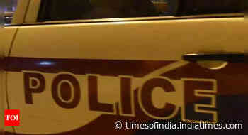 Maharashtra: Police recover ammunition during anti-Naxal operation in Gadchiroli forest - Times of India